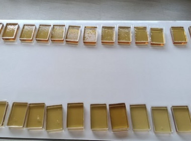 โครงการทัศนศึกษาเพื่อเสริมสร้างประสบการณ์ด้านสหกรณ์ให้กับนักเรียน ที่เป็นคณะกรรมการดำเนินการกิจกรรมสหกรณ์นักเรียน ประจำปี 2569 ... พารามิเตอร์รูปภาพ 8