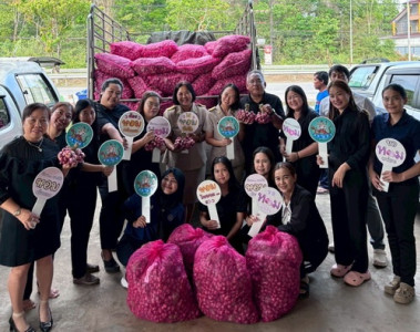 กระจายหอมแดง ของเกษตรกรผู้ปลูกหอมแดง ในจังหวัดศรีสะเกษ ... พารามิเตอร์รูปภาพ 1