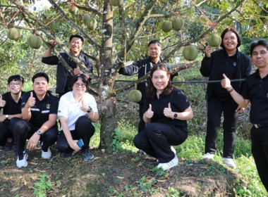 รองฯ ... พารามิเตอร์รูปภาพ 1