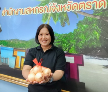 กระจายผลผลิตหอมหัวใหญ่ของสมาชิกสหกรณ์/กลุ่มเกษตรกร ... พารามิเตอร์รูปภาพ 1