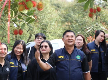 รองอธิบดีกรมส่งเสริมสหกรณ์ ... พารามิเตอร์รูปภาพ 12