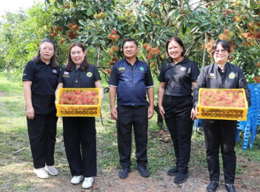 รองอธิบดีกรมส่งเสริมสหกรณ์ ... พารามิเตอร์รูปภาพ 11