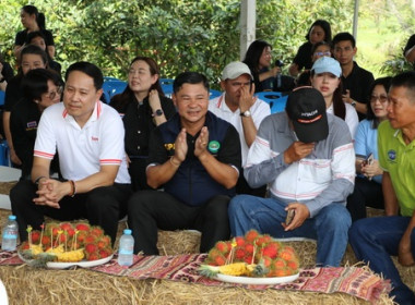 รองอธิบดีกรมส่งเสริมสหกรณ์ ... พารามิเตอร์รูปภาพ 3