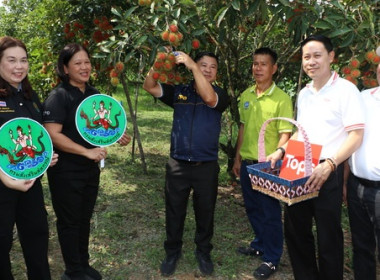 รองอธิบดีกรมส่งเสริมสหกรณ์ ... พารามิเตอร์รูปภาพ 9
