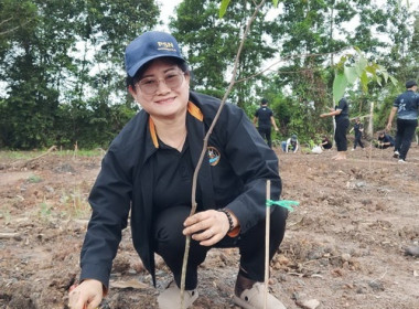 วันต้นไม้ประจำปีของชาติ พ.ศ. 2569 พารามิเตอร์รูปภาพ 7