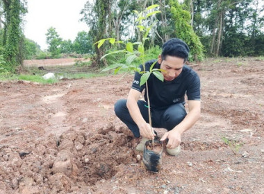 วันต้นไม้ประจำปีของชาติ พ.ศ. 2569 พารามิเตอร์รูปภาพ 8