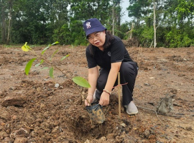วันต้นไม้ประจำปีของชาติ พ.ศ. 2569 พารามิเตอร์รูปภาพ 6