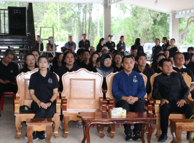 วันต้นไม้ประจำปีของชาติ พ.ศ. 2569 พารามิเตอร์รูปภาพ 16