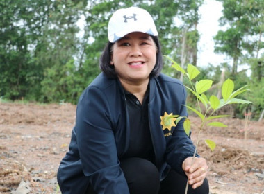 วันต้นไม้ประจำปีของชาติ พ.ศ. 2569 พารามิเตอร์รูปภาพ 3