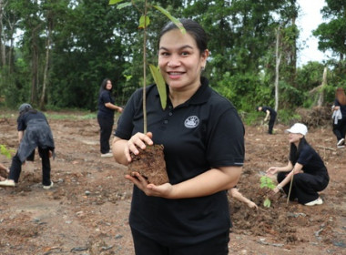 วันต้นไม้ประจำปีของชาติ พ.ศ. 2569 พารามิเตอร์รูปภาพ 9