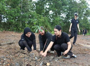 วันต้นไม้ประจำปีของชาติ พ.ศ. 2569 พารามิเตอร์รูปภาพ 11