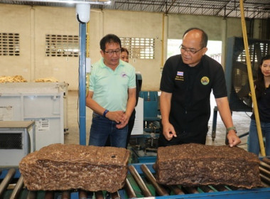 ผู้ตรวจราชการรม เขตตรวจราชการที่ 9 11 และ 13 ลงพื้นที่ ... พารามิเตอร์รูปภาพ 8