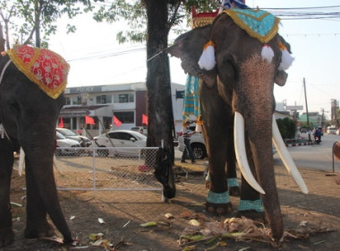 สหกรณ์จังหวัดตราดร่วมพิธีทำบุญเมือง พารามิเตอร์รูปภาพ 3