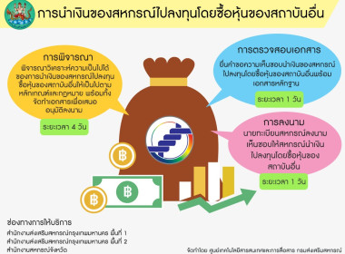 อินโฟกราฟฟิกบริการประชาชน พารามิเตอร์รูปภาพ 10