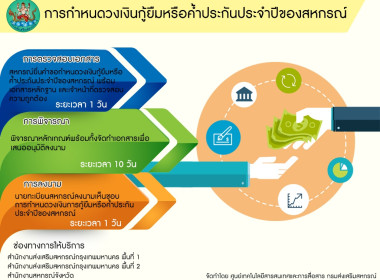 อินโฟกราฟฟิกบริการประชาชน พารามิเตอร์รูปภาพ 15