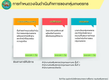 อินโฟกราฟฟิกบริการประชาชน พารามิเตอร์รูปภาพ 19