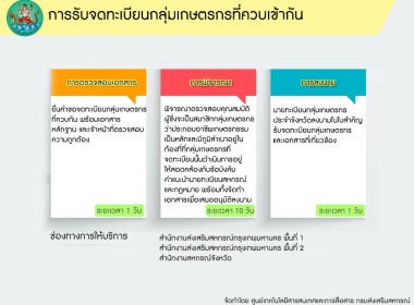 อินโฟกราฟฟิกบริการประชาชน พารามิเตอร์รูปภาพ 20