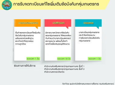 อินโฟกราฟฟิกบริการประชาชน พารามิเตอร์รูปภาพ 21