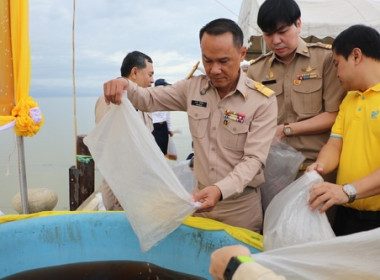 สหกรณ์จังหวัดตราด ร่วมพิธีปล่อยพันธุ์สัตว์น้ำ พารามิเตอร์รูปภาพ 4