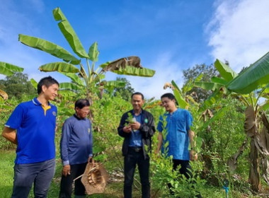 ลงพื้นทีเยี่ยมสมาชิกสหกรณ์แปรรูปอาหารบ้านเปร็ดใน จำกัด พารามิเตอร์รูปภาพ 2