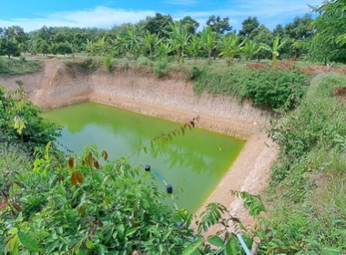 ลงพื้นทีเยี่ยมสมาชิกสหกรณ์แปรรูปอาหารบ้านเปร็ดใน จำกัด พารามิเตอร์รูปภาพ 3