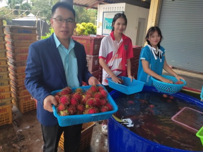 สหกรณ์จังหวัดตราด ลงพื้นที่อำเภอบ่อไร่ พารามิเตอร์รูปภาพ 1