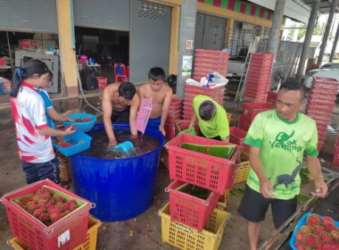 สหกรณ์จังหวัดตราด ลงพื้นที่อำเภอบ่อไร่ พารามิเตอร์รูปภาพ 6