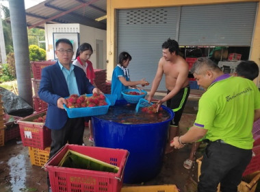 สหกรณ์จังหวัดตราด ลงพื้นที่อำเภอบ่อไร่ พารามิเตอร์รูปภาพ 2