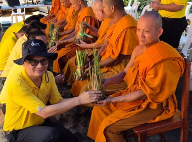 รณรงค์ส่งเสริมการปลูกหญ้าแฝกเฉลิมพระเกียรติพระบาทสมเด็จพระเจ้าอยู่หัว ... พารามิเตอร์รูปภาพ 4