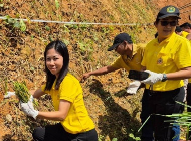 รณรงค์ส่งเสริมการปลูกหญ้าแฝกเฉลิมพระเกียรติพระบาทสมเด็จพระเจ้าอยู่หัว ... พารามิเตอร์รูปภาพ 2