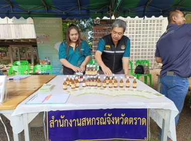 โครงการบำบัดทุกข์ บำรุงสุข สร้างรอยยิ้มให้ประชาชน ... พารามิเตอร์รูปภาพ 4