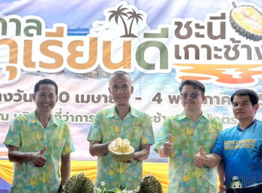 ร่วมพิธีเปิดงาน“เทศกาลชิมทุเรียนดี ชะนีเกาะช้าง (GI)” ... พารามิเตอร์รูปภาพ 2