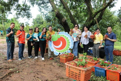 สหกรณ์ตราดลงพื้นที่แปลงผลไม้ ดันคุณภาพ เสริมแกร่งแข่งขันตลาด พารามิเตอร์รูปภาพ 1