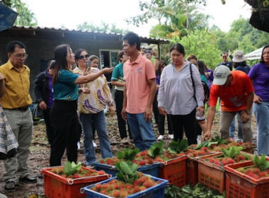 สหกรณ์ตราดลงพื้นที่แปลงผลไม้ ดันคุณภาพ เสริมแกร่งแข่งขันตลาด พารามิเตอร์รูปภาพ 5