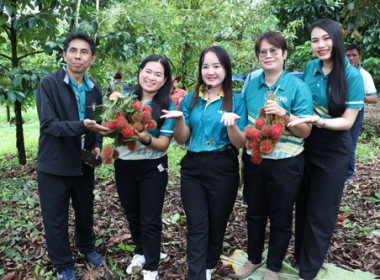สหกรณ์ตราดลงพื้นที่แปลงผลไม้ ดันคุณภาพ เสริมแกร่งแข่งขันตลาด พารามิเตอร์รูปภาพ 6