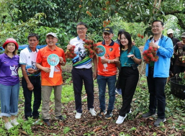 สหกรณ์ตราดลงพื้นที่แปลงผลไม้ ดันคุณภาพ เสริมแกร่งแข่งขันตลาด พารามิเตอร์รูปภาพ 7