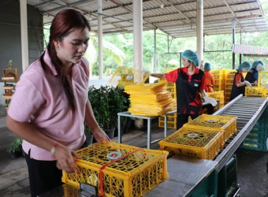 สำนักงานสหกรณ์จังหวัดตราด Kick Off คาราวานผลไม้คุณภาพ ... พารามิเตอร์รูปภาพ 8