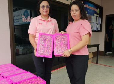 กระจายผลผลิตลำไยจากสหกรณ์การเกษตรประตูป่า จำกัด ... พารามิเตอร์รูปภาพ 1