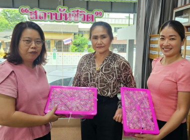 กระจายผลผลิตลำไยจากสหกรณ์การเกษตรประตูป่า จำกัด ... พารามิเตอร์รูปภาพ 6