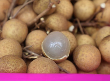 กระจายผลผลิตลำไยจากสหกรณ์การเกษตรประตูป่า จำกัด ... พารามิเตอร์รูปภาพ 8