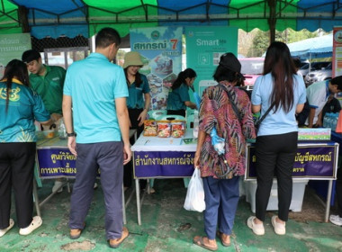 โครงการบำบัดทุกข์ บำรุงสุข สร้างรอยยิ้ม ให้ประชาชน ... พารามิเตอร์รูปภาพ 6
